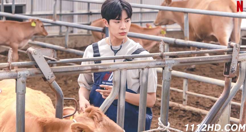บันทึกรักในเมืองเล็ก ซับไทย