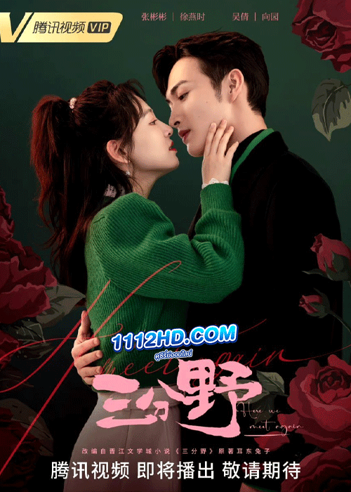 ดูซีรี่ย์ Here We Meet Again
