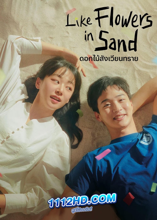 ดูซีรี่ย์ Like Flowers in Sand (2023) ดอกไม้สังเวียนทราย (ซับไทย) EP.1-12 จบ