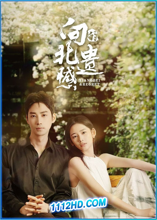 ดูซีรี่ย์ เกสต์เฮาส์เยียวยารัก Xiangbei Regret (2024) ซับไทย EP.1-20 (จบ)